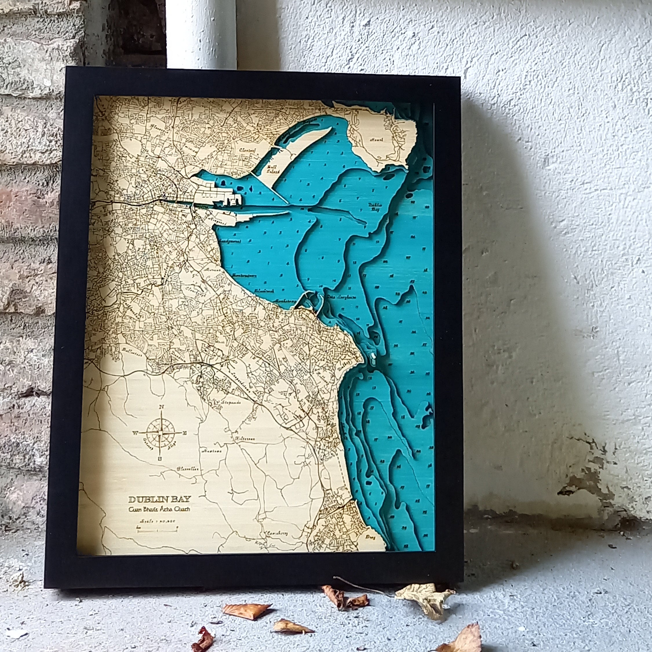 Dublin Bay 3d map Medium