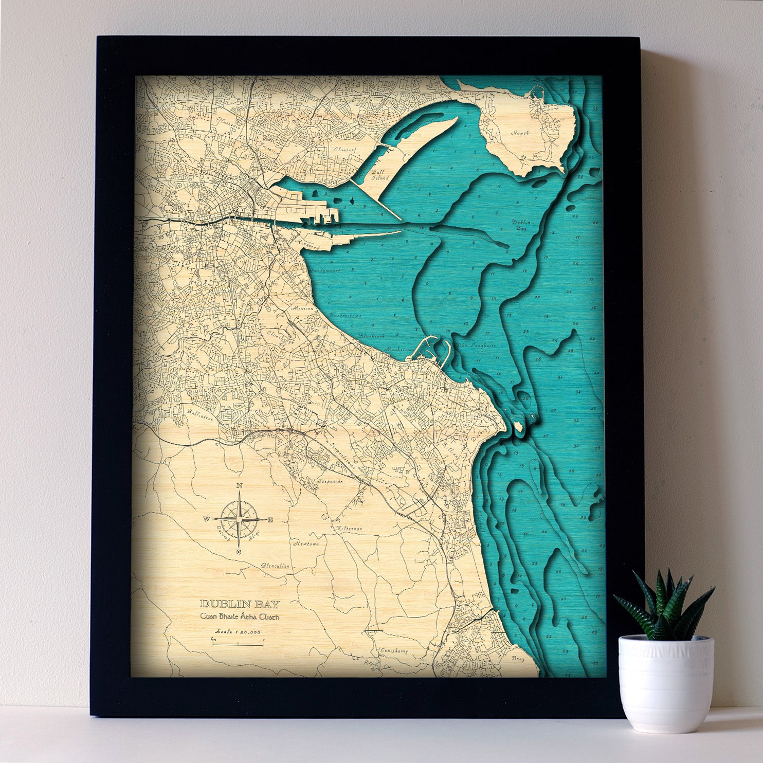 Dublin Bay 3d map Medium