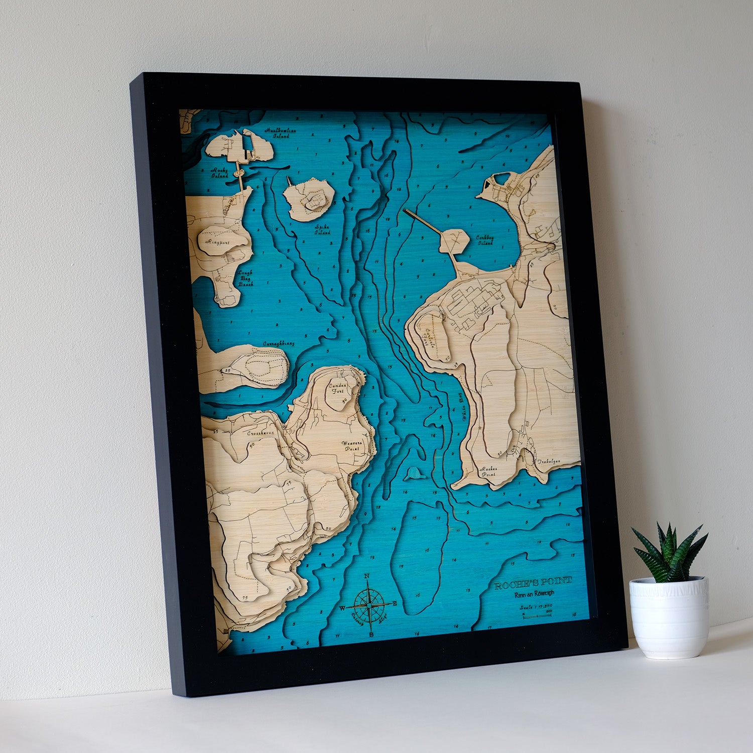 Roches Point 3d map medium