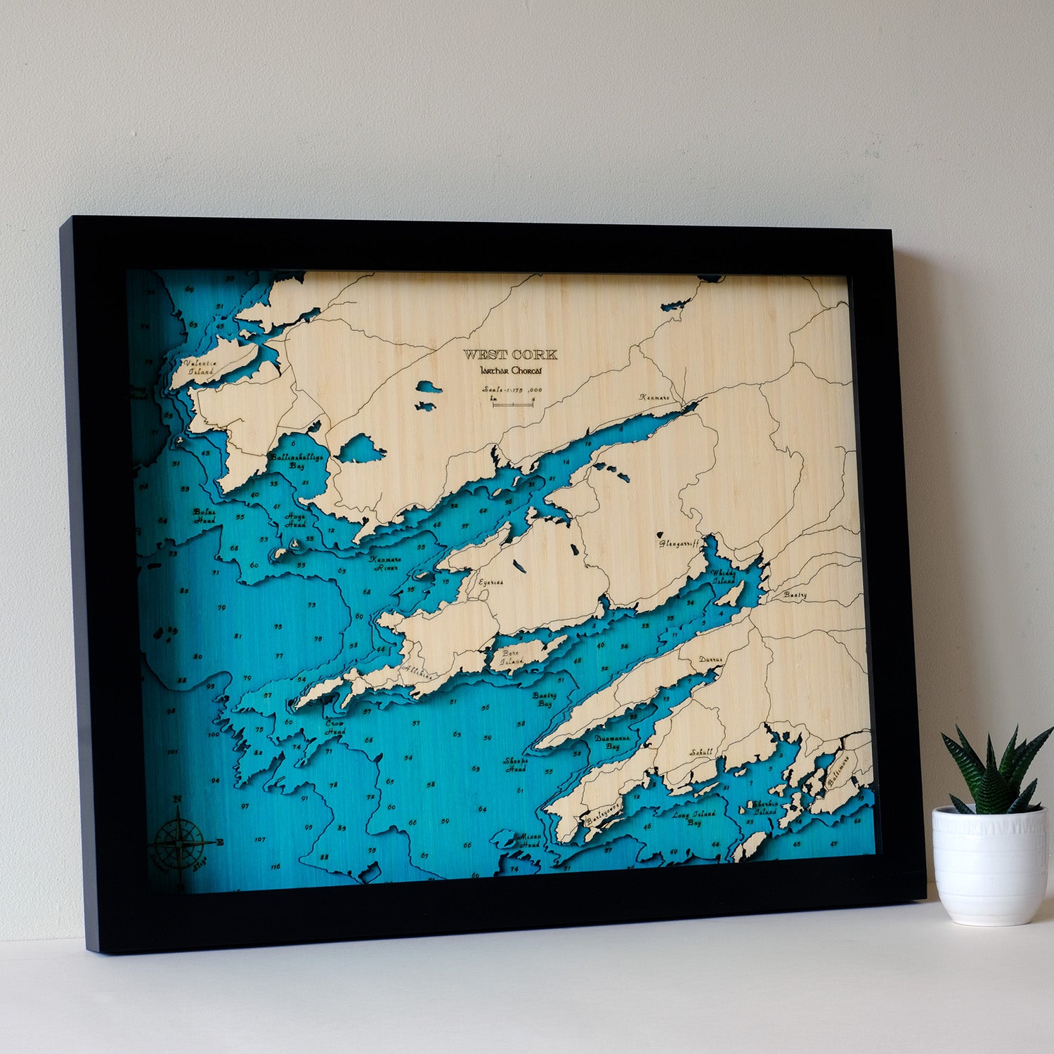 West Cork 3d map medium