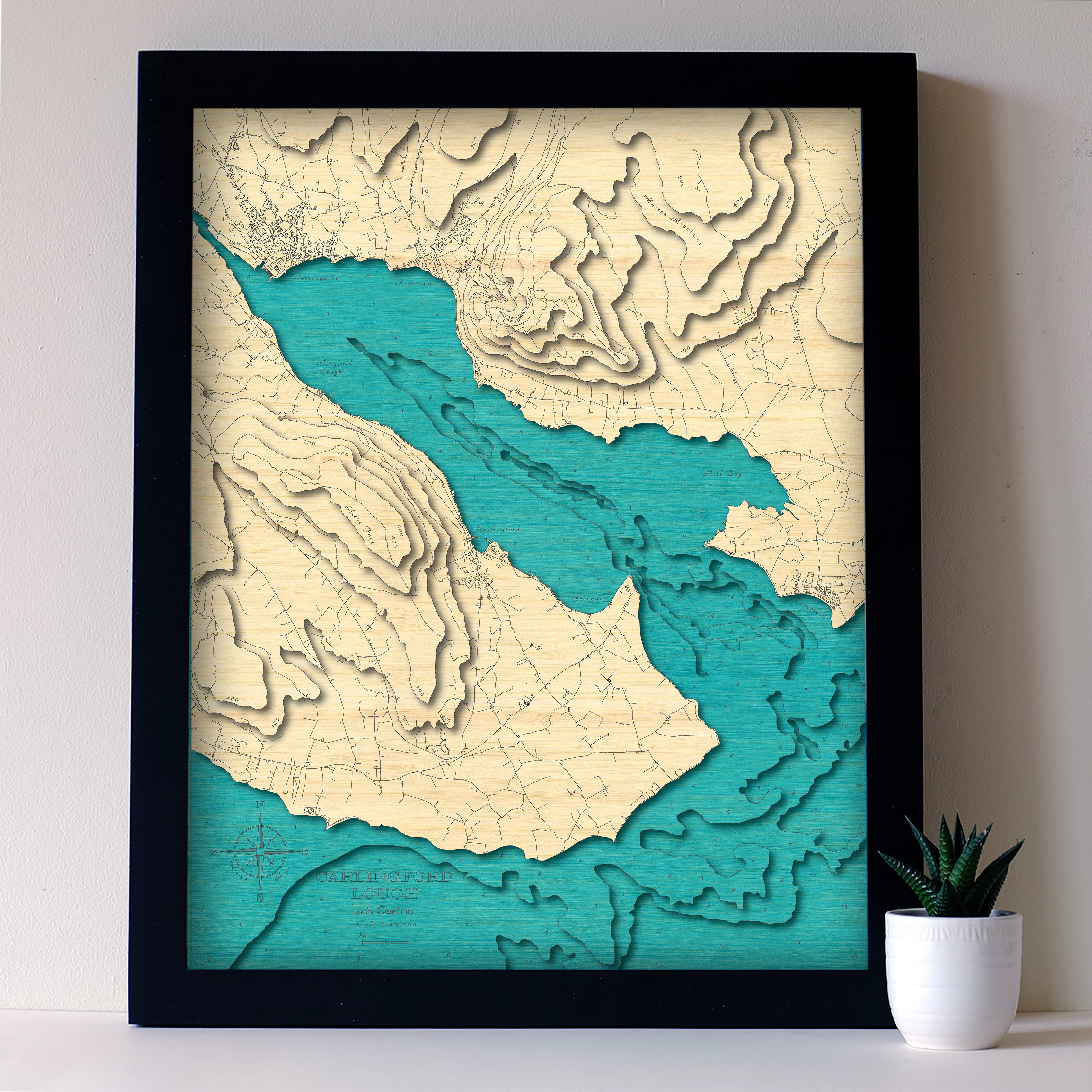 Carlingford Lough 3d map Medium