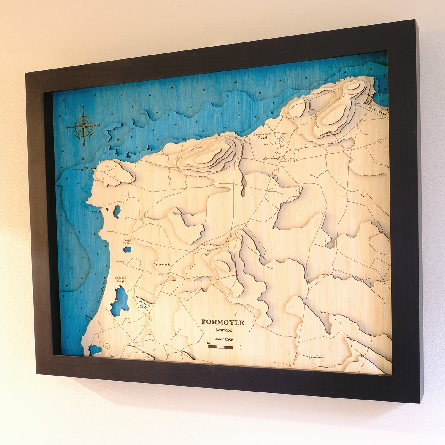 Formoyle 3d map medium
