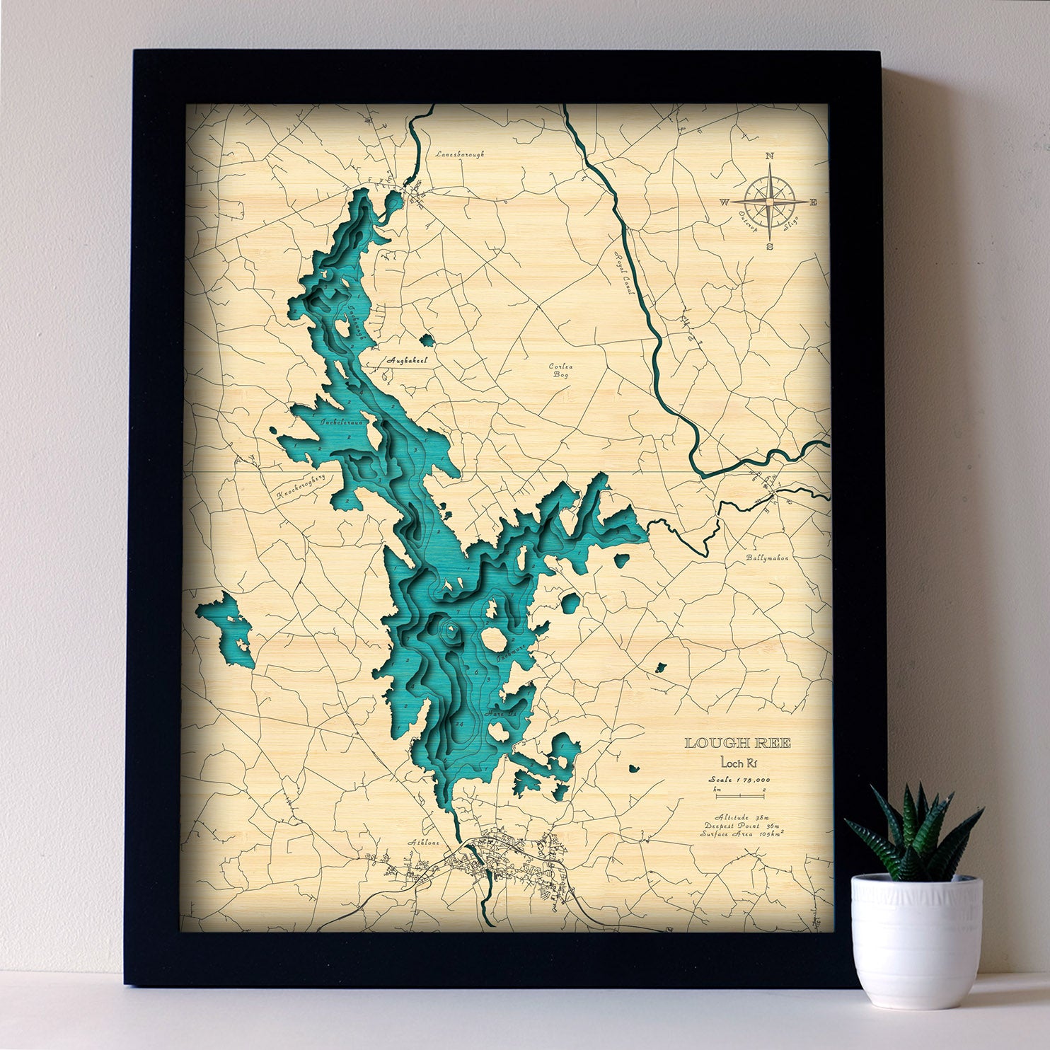 Lough Ree 3d map medium