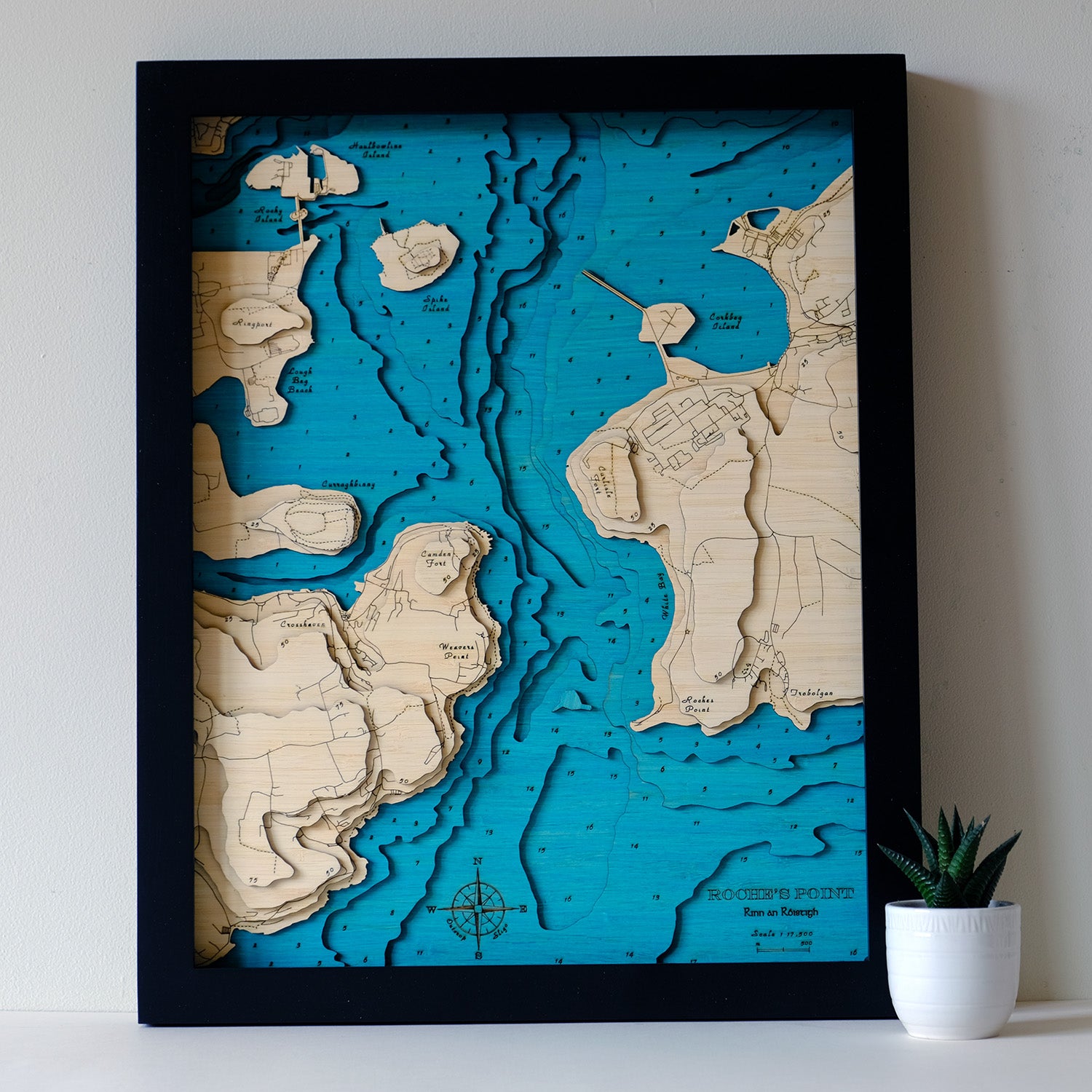 Roches Point 3d map medium
