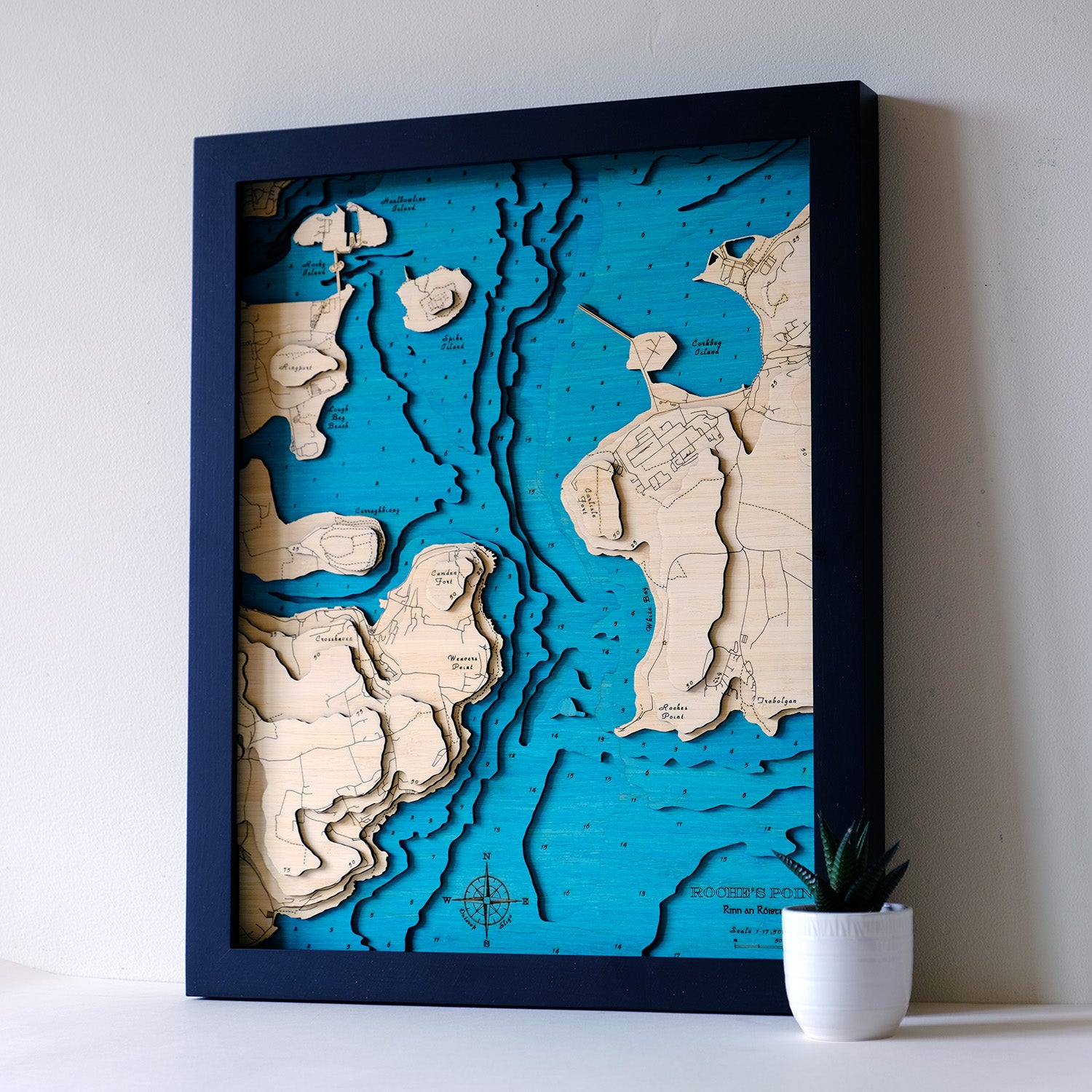 Roches Point 3d map medium