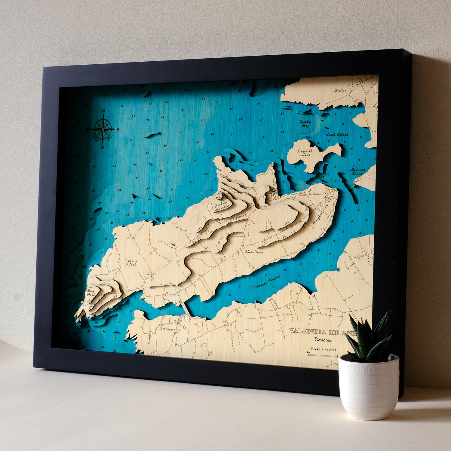 Valentia Island 3d Map medium