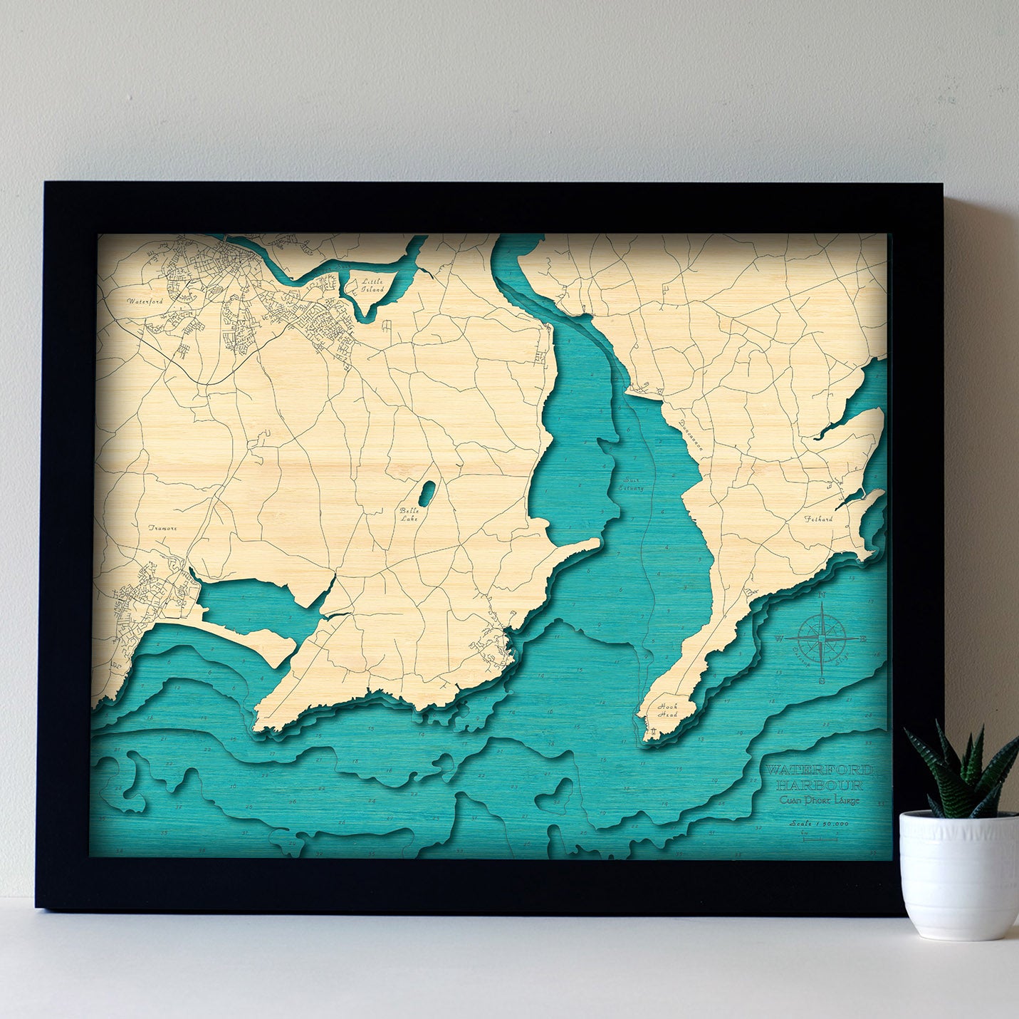 Waterford Estuary 3d map Medium