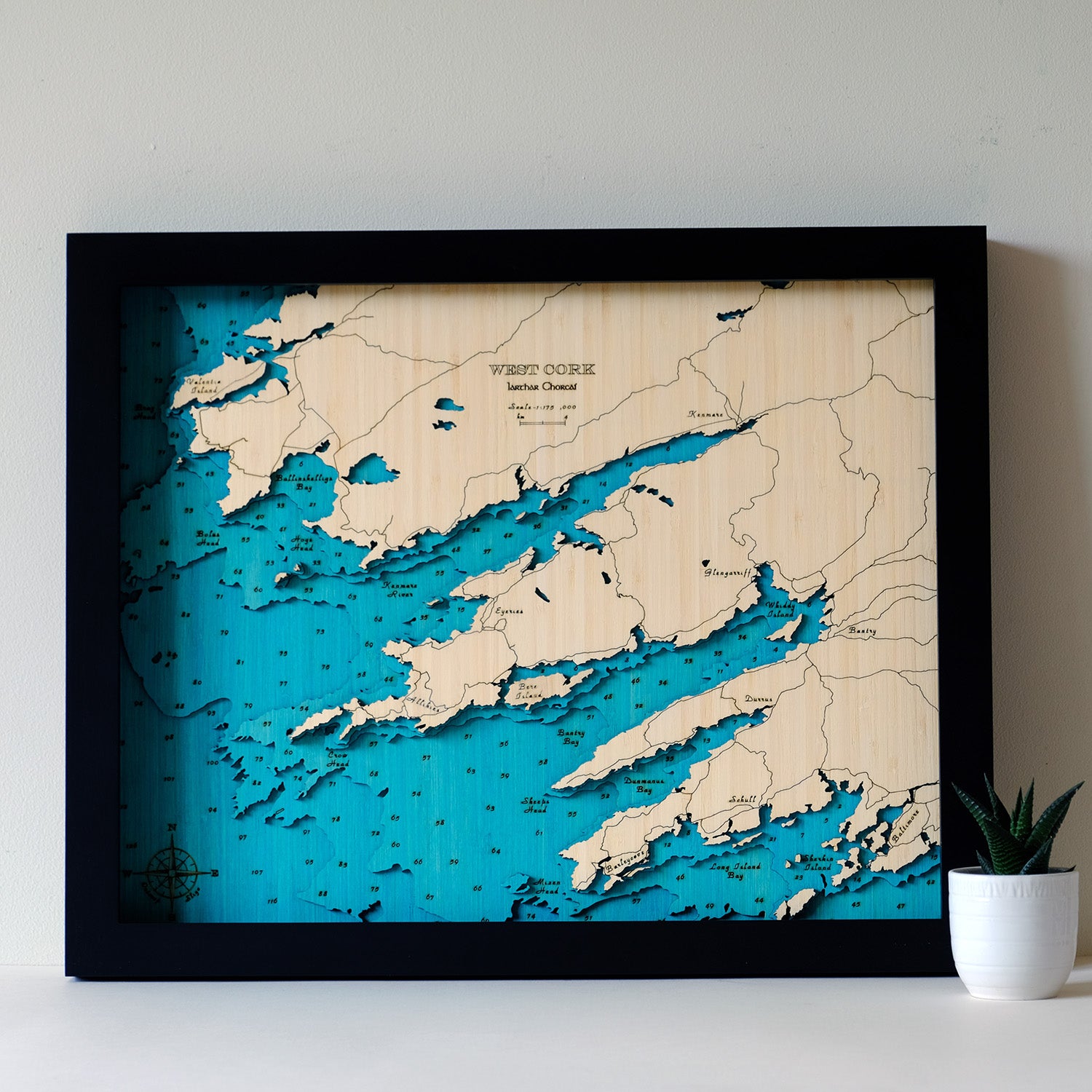 West Cork 3d map medium
